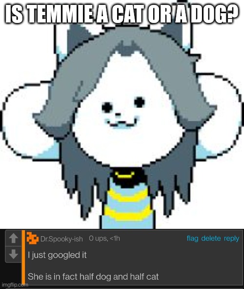 I know this stream is pretty much dead but for those of you who are still here... | IS TEMMIE A CAT OR A DOG? | image tagged in temmie | made w/ Imgflip meme maker
