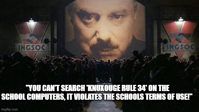 1984 | "YOU CAN'T SEARCH 'KNUXOUGE RULE 34' ON THE SCHOOL COMPUTERS, IT VIOLATES THE SCHOOLS TERMS OF USE!" | image tagged in 1984 | made w/ Imgflip meme maker