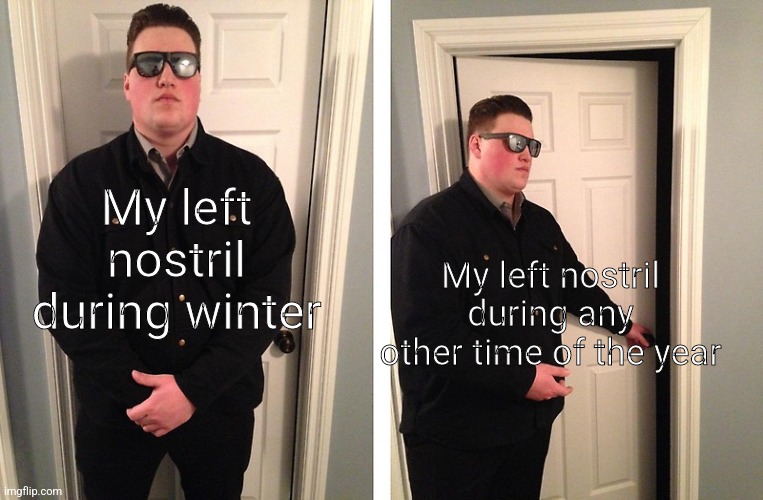 i'm laid up with allergies rn | My left nostril during any other time of the year; My left nostril during winter | image tagged in guy who blocks door | made w/ Imgflip meme maker