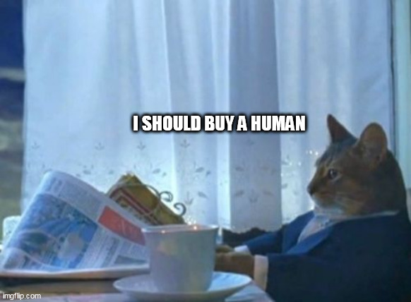 I Should Buy A Boat Cat | I SHOULD BUY A HUMAN | image tagged in memes,i should buy a boat cat | made w/ Imgflip meme maker