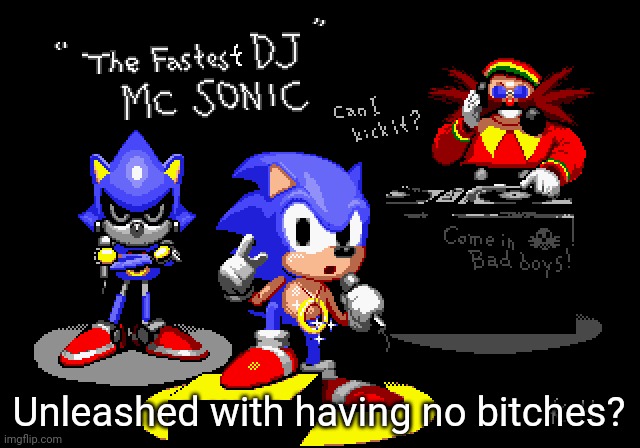 Sonic CD rapper image | Unleashed with having no bitches? | image tagged in sonic cd rapper image | made w/ Imgflip meme maker