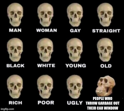 idiot skull | PEOPLE WHO THROW GARBAGE OUT THEIR CAR WINDOW | image tagged in idiot skull | made w/ Imgflip meme maker