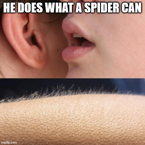 Whisper and Goosebumps | HE DOES WHAT A SPIDER CAN | image tagged in whisper and goosebumps | made w/ Imgflip meme maker