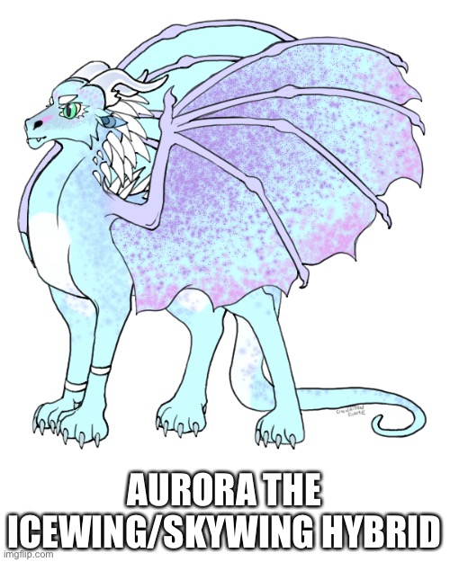 Eh, I’ll update the role play plot soon | AURORA THE ICEWING/SKYWING HYBRID | made w/ Imgflip meme maker