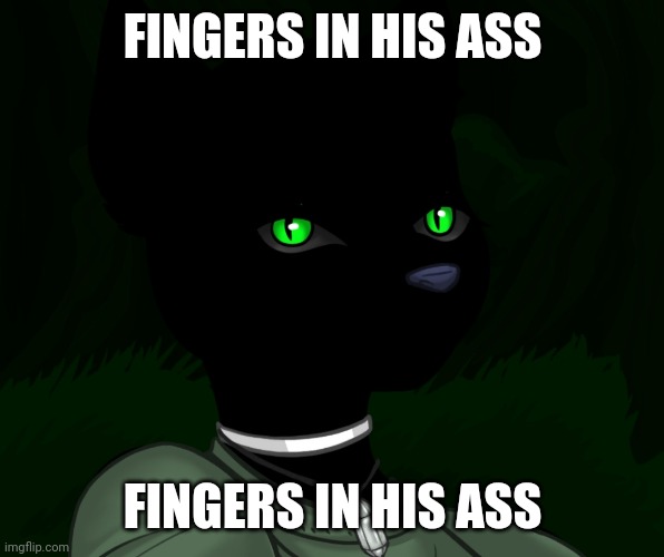 My new panther fursona | FINGERS IN HIS ASS; FINGERS IN HIS ASS | image tagged in my new panther fursona | made w/ Imgflip meme maker