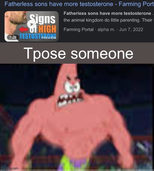 fr | Tpose someone | image tagged in fatherless sons have more testosterone | made w/ Imgflip meme maker