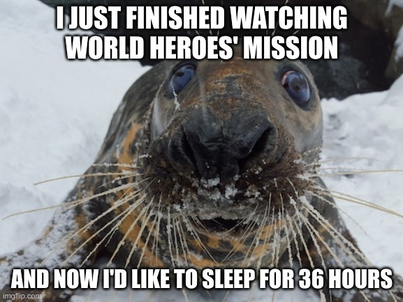 that movie was so f**king stupid | I JUST FINISHED WATCHING WORLD HEROES' MISSION; AND NOW I'D LIKE TO SLEEP FOR 36 HOURS | image tagged in his name's bim bim | made w/ Imgflip meme maker