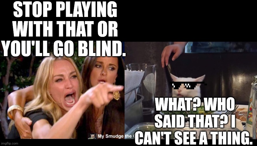STOP PLAYING WITH THAT OR YOU'LL GO BLIND. WHAT? WHO SAID THAT? I CAN'T SEE A THING. | image tagged in smudge the cat | made w/ Imgflip meme maker