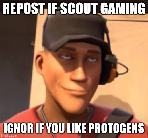 bobux | REPOST IF SCOUT GAMING; IGNORE IF YOU LIKE PROTOGENS | image tagged in repost,scout | made w/ Imgflip meme maker