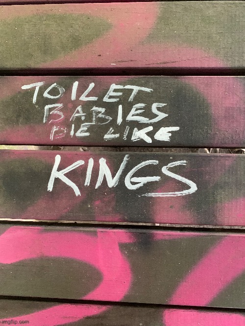 Toilet babies | image tagged in toilet,babies,kings,graffiti | made w/ Imgflip meme maker