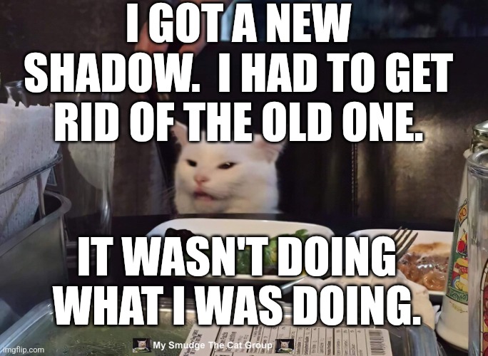 I GOT A NEW SHADOW.  I HAD TO GET RID OF THE OLD ONE. IT WASN'T DOING WHAT I WAS DOING. | image tagged in smudge the cat | made w/ Imgflip meme maker