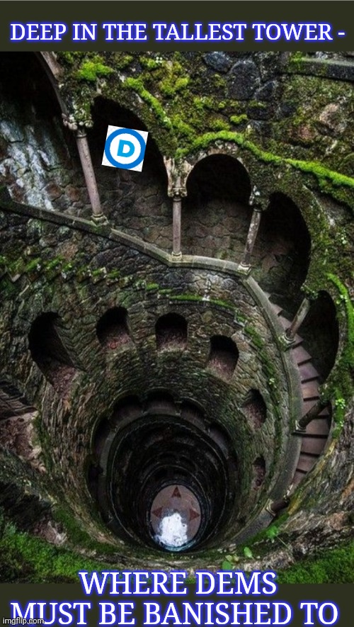 They must be exciled | DEEP IN THE TALLEST TOWER -; WHERE DEMS MUST BE BANISHED TO | image tagged in vote,republican party,pictures | made w/ Imgflip meme maker