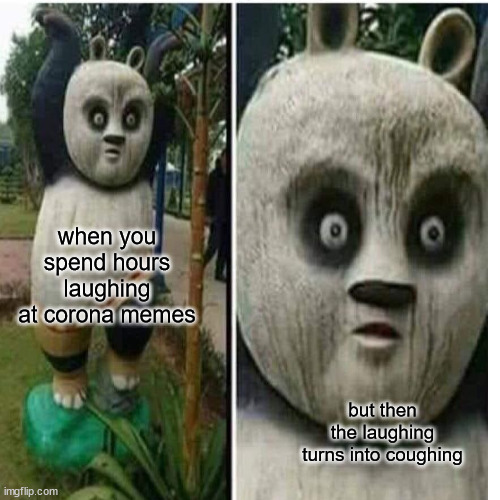 corona  meme | when you spend hours laughing at corona memes; but then the laughing turns into coughing | image tagged in funny memes,covid | made w/ Imgflip meme maker