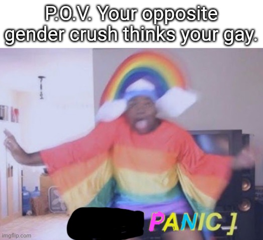PANic! | P.O.V. Your opposite gender crush thinks your gay. | image tagged in rainbow gay panic | made w/ Imgflip meme maker