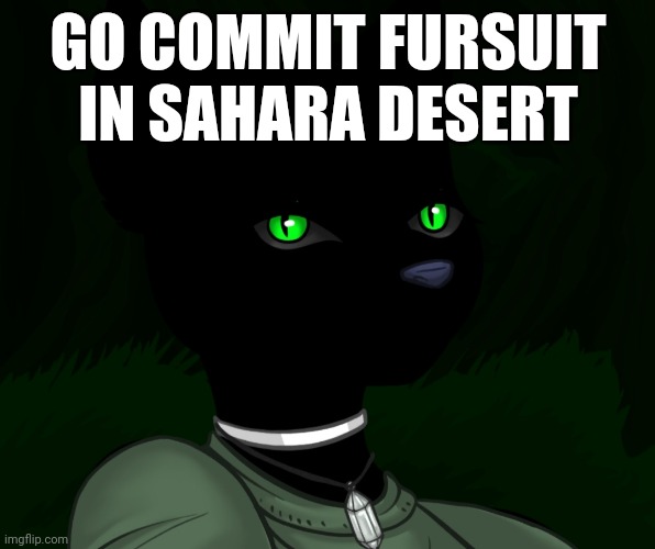 My new panther fursona | GO COMMIT FURSUIT IN SAHARA DESERT | image tagged in my new panther fursona | made w/ Imgflip meme maker