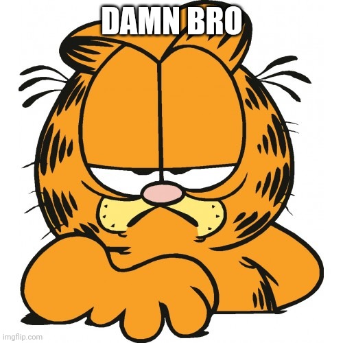 Garfield | DAMN BRO | image tagged in garfield | made w/ Imgflip meme maker