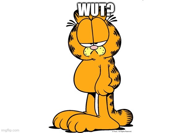 Grumpy Garfield | WUT? | image tagged in grumpy garfield | made w/ Imgflip meme maker