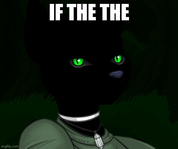 My new panther fursona | IF THE THE | image tagged in my new panther fursona | made w/ Imgflip meme maker