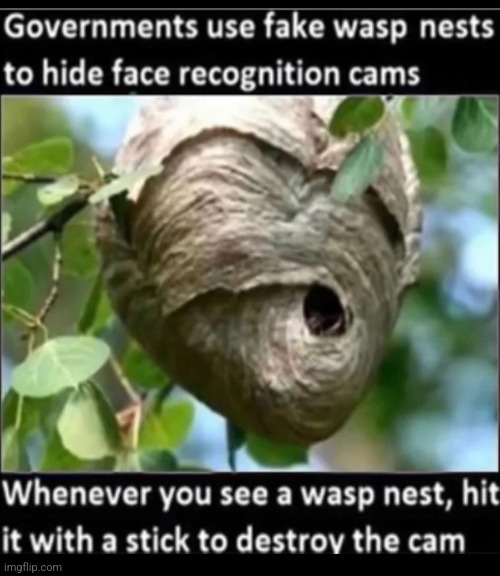True guys, try it!!1!!!! | image tagged in memes,unfunny | made w/ Imgflip meme maker