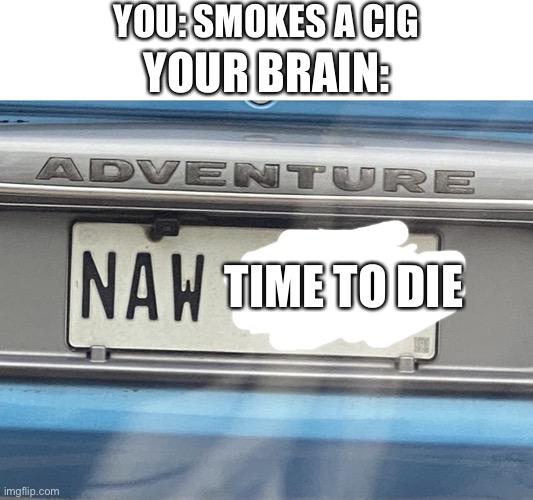 It’s time to die-your brain when you smoke | YOU: SMOKES A CIG; YOUR BRAIN:; TIME TO DIE | image tagged in number plate sayin naw | made w/ Imgflip meme maker