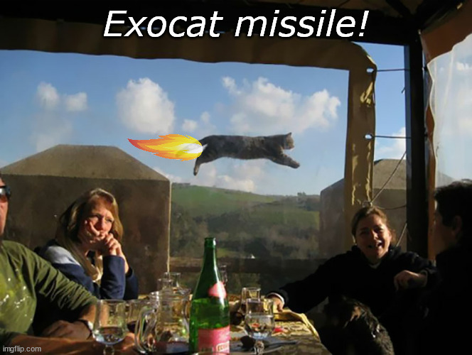 Exocat missile! | Exocat missile! | image tagged in cat photobombs picture,missile,cat,flame | made w/ Imgflip meme maker