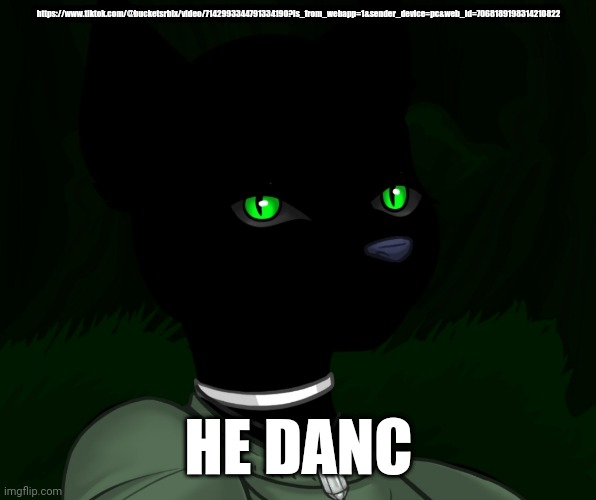 My new panther fursona | https://www.tiktok.com/@bucketsrblx/video/7142993344791334190?is_from_webapp=1&sender_device=pc&web_id=7068189198314210822; HE DANC | image tagged in my new panther fursona | made w/ Imgflip meme maker