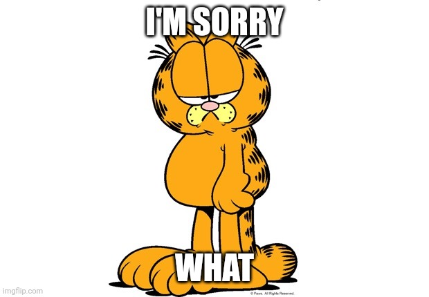 Grumpy Garfield | I'M SORRY WHAT | image tagged in grumpy garfield | made w/ Imgflip meme maker
