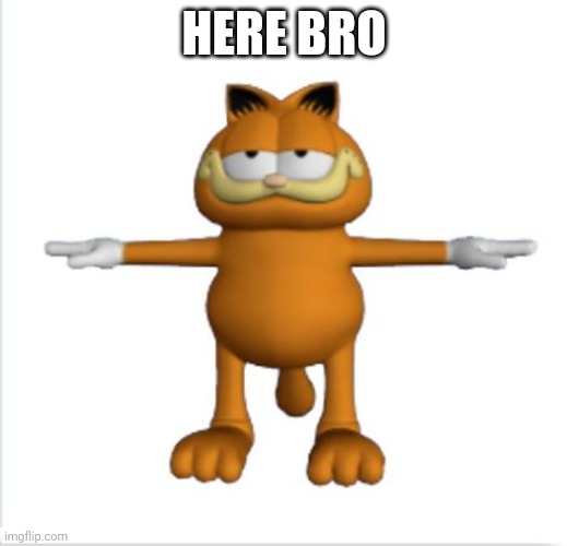 garfield t-pose | HERE BRO | image tagged in garfield t-pose | made w/ Imgflip meme maker