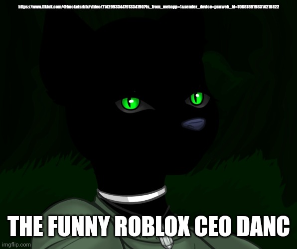 Builderblox shipp in 2023  Roblox, Silly memes, Cat memes