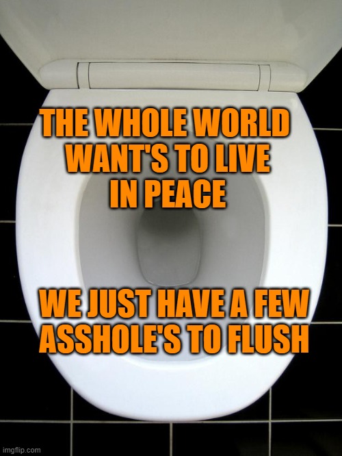 TOILET | THE WHOLE WORLD 
WANT'S TO LIVE
IN PEACE; WE JUST HAVE A FEW
ASSHOLE'S TO FLUSH | image tagged in toilet | made w/ Imgflip meme maker