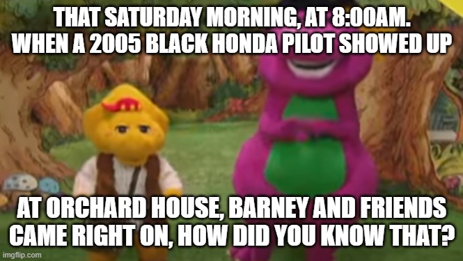 Barney and Friends (Saturday Mornings @ Pilot Lady hour) PBS KIDS | THAT SATURDAY MORNING, AT 8:00AM. WHEN A 2005 BLACK HONDA PILOT SHOWED UP; AT ORCHARD HOUSE, BARNEY AND FRIENDS CAME RIGHT ON, HOW DID YOU KNOW THAT? | image tagged in pbs kids,barney the dinosaur,pilot,lady | made w/ Imgflip meme maker