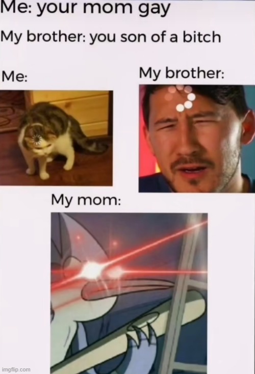 image tagged in memes | made w/ Imgflip meme maker