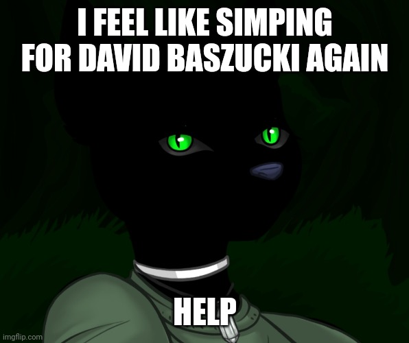 My new panther fursona | I FEEL LIKE SIMPING FOR DAVID BASZUCKI AGAIN; HELP | image tagged in my new panther fursona | made w/ Imgflip meme maker