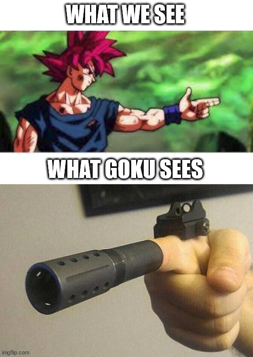little bang attack | WHAT WE SEE; WHAT GOKU SEES | image tagged in finger,gun,dragon ball super,dragon ball,goku | made w/ Imgflip meme maker