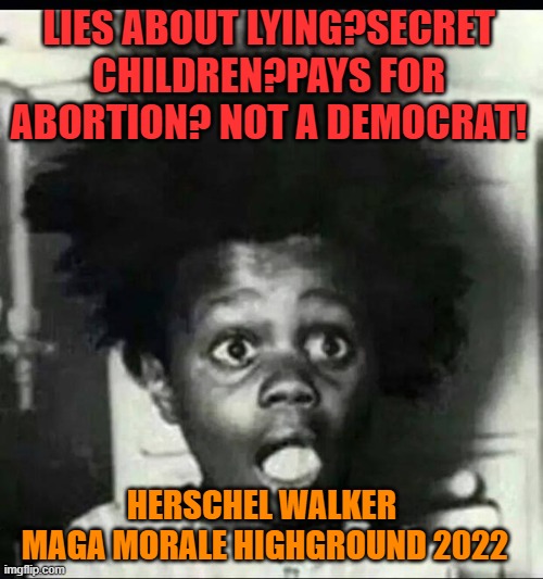 moral Herschel | LIES ABOUT LYING?SECRET CHILDREN?PAYS FOR ABORTION? NOT A DEMOCRAT! HERSCHEL WALKER
 MAGA MORALE HIGHGROUND 2022 | image tagged in maga,donald trump,gop,brandon,family values | made w/ Imgflip meme maker