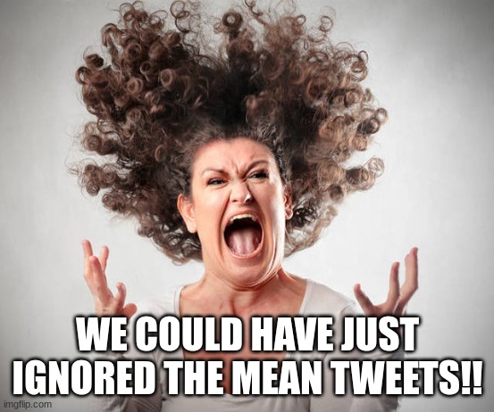 Ignore Mean Tweets | WE COULD HAVE JUST IGNORED THE MEAN TWEETS!! | image tagged in angry woman,tweets,donald trump,politics,stupid liberals | made w/ Imgflip meme maker