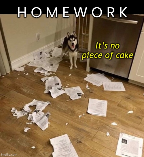 I was told there would be cake. | H O M E W O R K; It’s no piece of cake | image tagged in funny memes,funny dog memes,dog ate homework | made w/ Imgflip meme maker