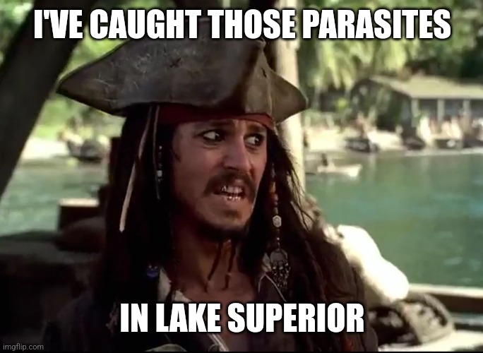 JACK WHAT | I'VE CAUGHT THOSE PARASITES IN LAKE SUPERIOR | image tagged in jack what | made w/ Imgflip meme maker