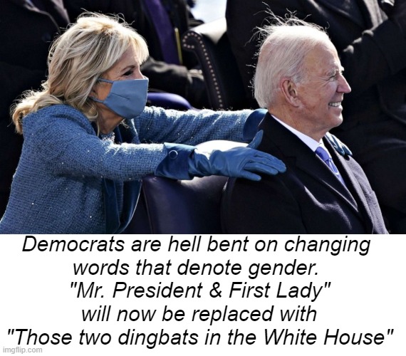 It's Not All About Gender . . . | Democrats are hell bent on changing 
words that denote gender. 
"Mr. President & First Lady"
 will now be replaced with 
"Those two dingbats in the White House" | image tagged in politics,joe biden,doctor jill biden,gender,potus and flotus,language change | made w/ Imgflip meme maker