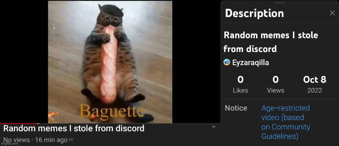 Bro how do i make my video not age restricted | made w/ Imgflip meme maker