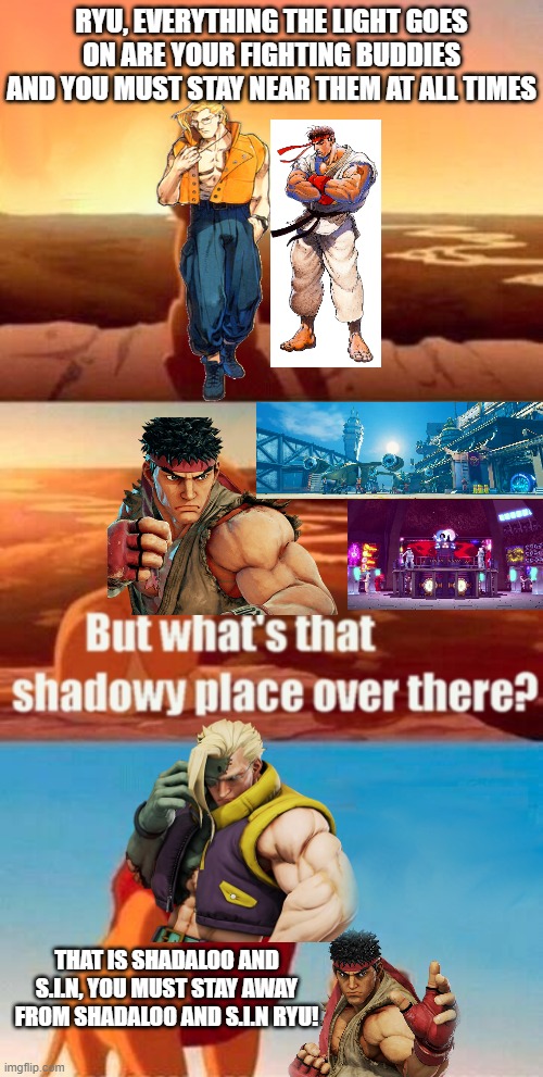 Ryu askes Charlie Nash about the shadowy place | RYU, EVERYTHING THE LIGHT GOES ON ARE YOUR FIGHTING BUDDIES AND YOU MUST STAY NEAR THEM AT ALL TIMES; THAT IS SHADALOO AND S.I.N, YOU MUST STAY AWAY FROM SHADALOO AND S.I.N RYU! | image tagged in memes,simba shadowy place | made w/ Imgflip meme maker