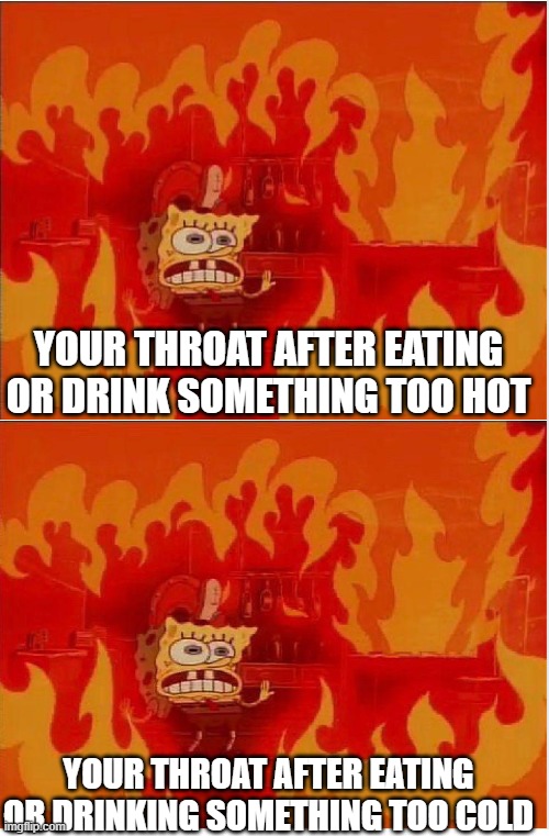 idk if its relatable or not | YOUR THROAT AFTER EATING OR DRINK SOMETHING TOO HOT; YOUR THROAT AFTER EATING OR DRINKING SOMETHING TOO COLD | image tagged in blank white template | made w/ Imgflip meme maker