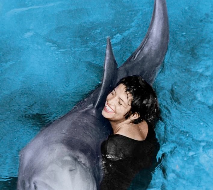 Margaret Howe Dolphin Blank Meme Template
