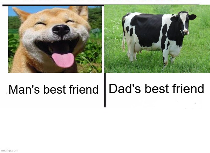 It's been a long time since my last meme I made | Dad's best friend; Man's best friend | image tagged in comparison table,dad,man's best friend,cow,dog | made w/ Imgflip meme maker