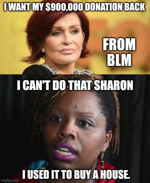 Technically a mansion. | I WANT MY $900,000 DONATION BACK; FROM BLM; I CAN'T DO THAT SHARON; I USED IT TO BUY A HOUSE. | image tagged in memes | made w/ Imgflip meme maker