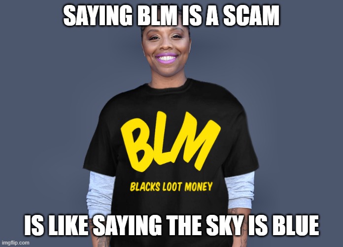 Patrisse Khan-Cullors | SAYING BLM IS A SCAM IS LIKE SAYING THE SKY IS BLUE | image tagged in patrisse khan-cullors | made w/ Imgflip meme maker