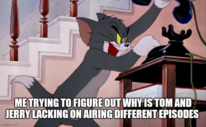 Air Yankee doodle mouse or something rare not all this chuck Jones stuff | ME TRYING TO FIGURE OUT WHY IS TOM AND JERRY LACKING ON AIRING DIFFERENT EPISODES | image tagged in funny memes | made w/ Imgflip meme maker