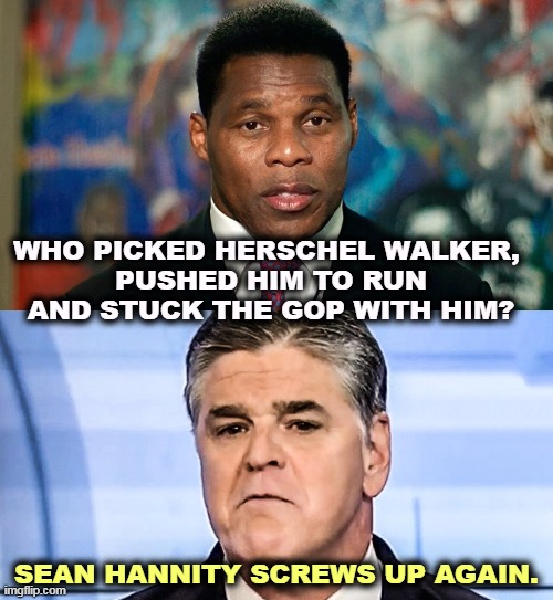 Herschel Walker was on Hannity 24 times. Trump was watching. | WHO PICKED HERSCHEL WALKER, 
PUSHED HIM TO RUN AND STUCK THE GOP WITH HIM? SEAN HANNITY SCREWS UP AGAIN. | image tagged in sean hannity frowning at accidental brush with reality,herschel walker,sean hannity,donald trump,idiots | made w/ Imgflip meme maker