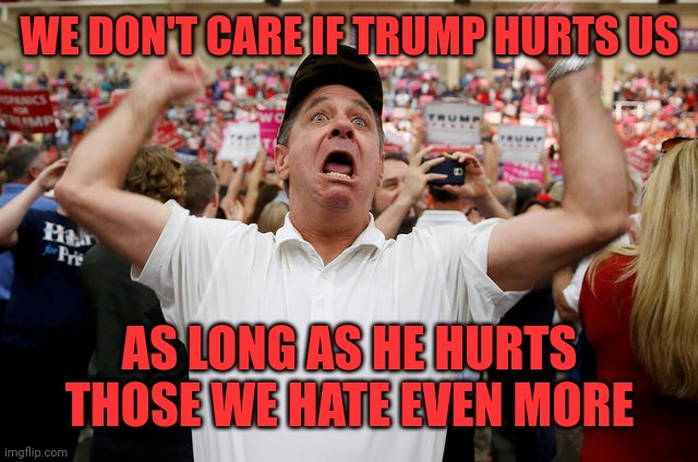 Trumpers in a nutshell | WE DON'T CARE IF TRUMP HURTS US; AS LONG AS HE HURTS THOSE WE HATE EVEN MORE | image tagged in trump supporter triggered | made w/ Imgflip meme maker