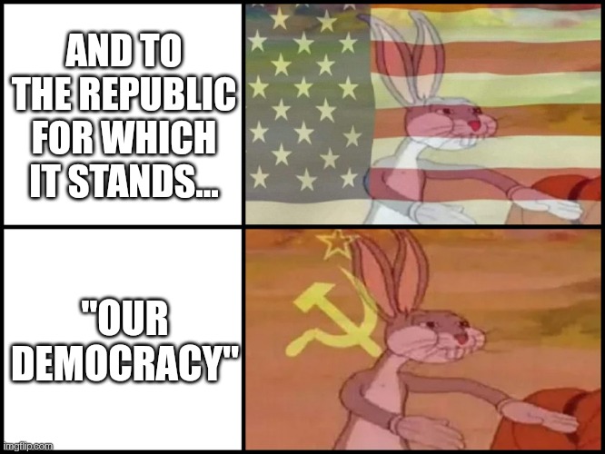 Republic bugs, our democracy |  AND TO THE REPUBLIC FOR WHICH IT STANDS... "OUR DEMOCRACY" | image tagged in capitalist and communist | made w/ Imgflip meme maker